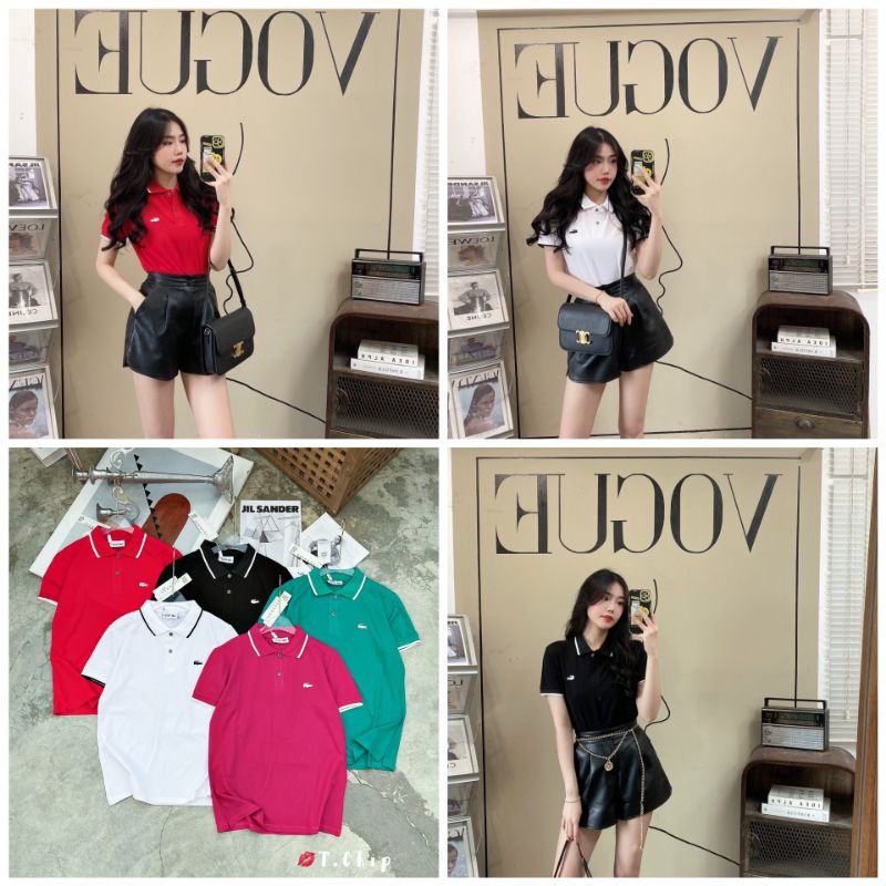 Áo phông polo cá sấu hàng QCL1