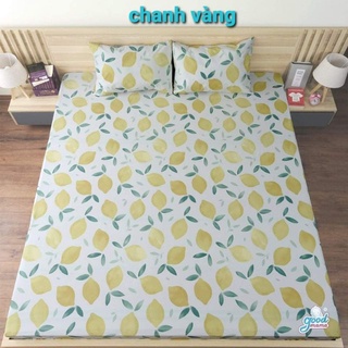 Ga chống thấm cao cấp Goodmama