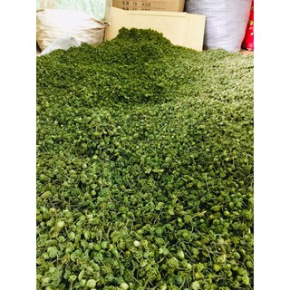 100g trà nụ tam thất bao tử