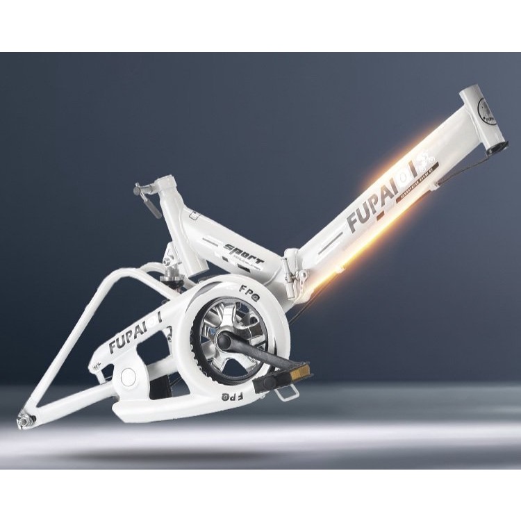 Xe đạp địa hình cho cho gia đình , gấp gọn