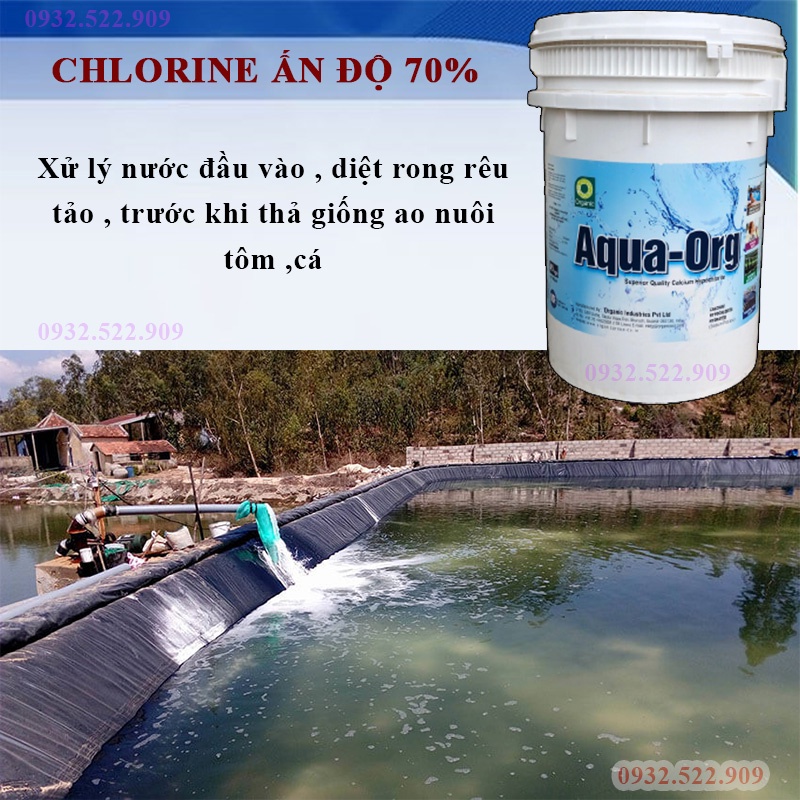 Xử lý hồ bơi , khử trùng dụng cụ , sát khuẩn nguồn nước , tẩy rong rêu ao hồ , Chlorine Ấn Độ 70% 1kg