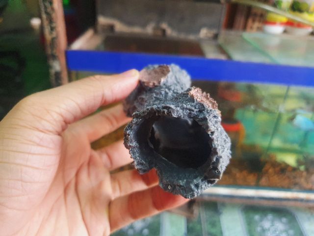 CÂY LỦA GIẢ TRANG TRÍ HỒ CÁ NON BỘ 13x7x5cm