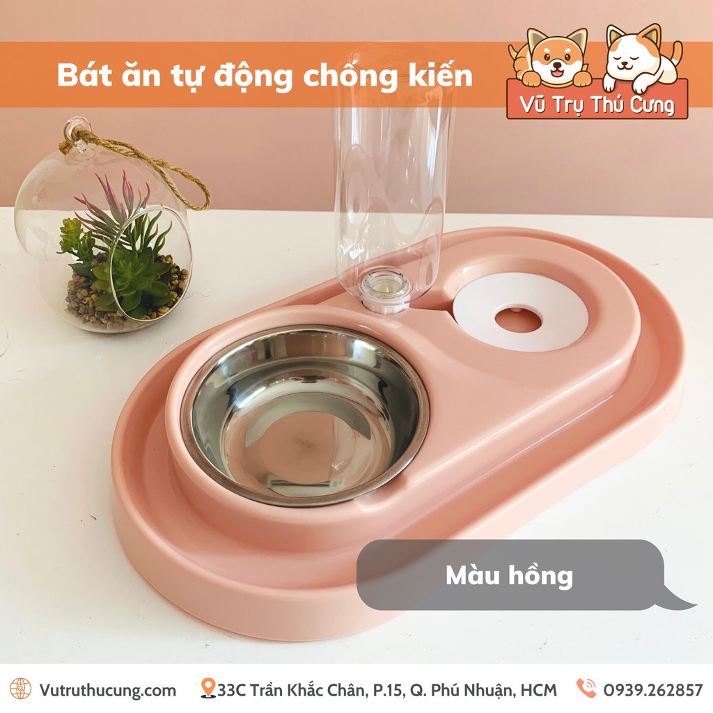 Bát ăn CHỐNG KIẾN kèm bình nước tự động cho Chó Mèo | Bát ăn tự động kèm bình nước 500ml