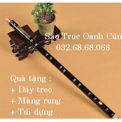 Dizi hắc mã _Sáo Trúc Oanh Cún