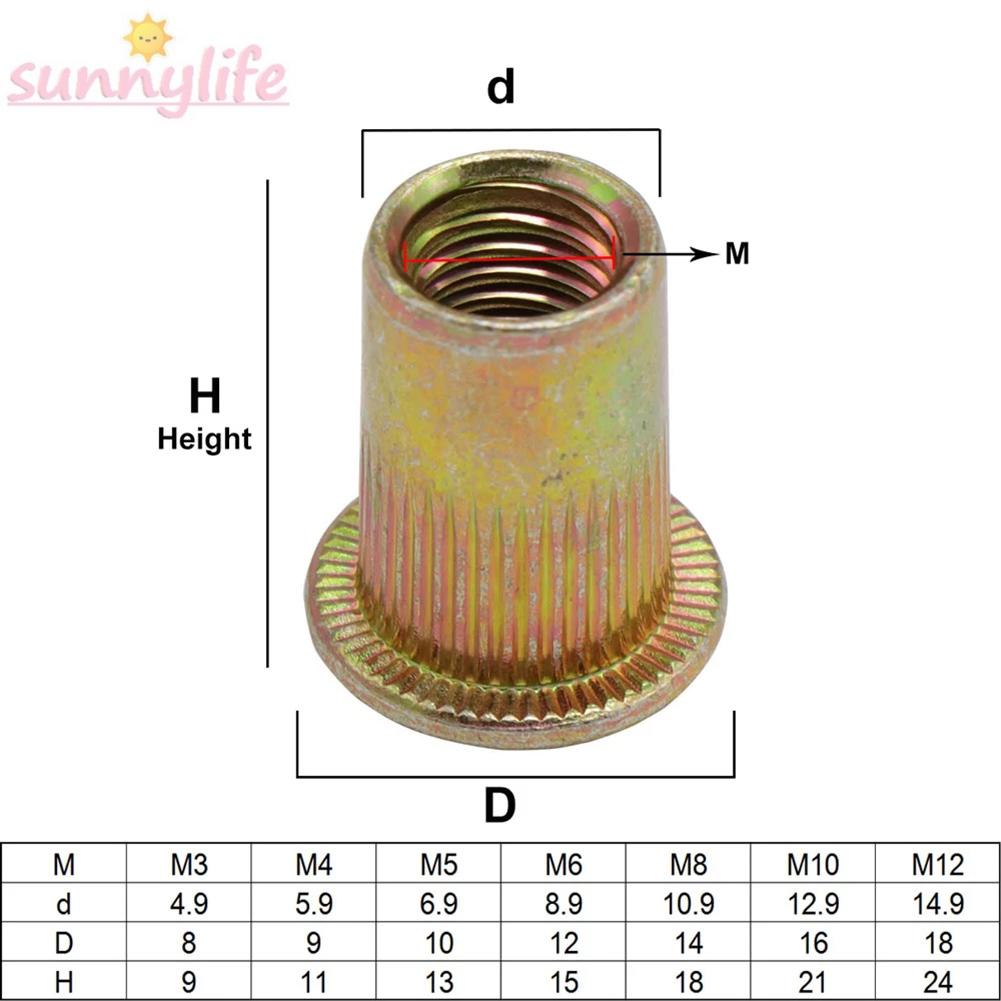 Bộ 100 Đinh Tán Sắt Galvanized M3-M12