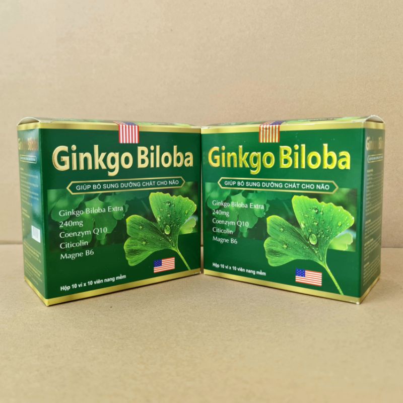 Hoạt huyết dưỡng não Ginkgo Biloba 240mg giúp bổ sung dưỡng chất cho não, tăng cường tuần hoàn máu não - Hộp 100 viên