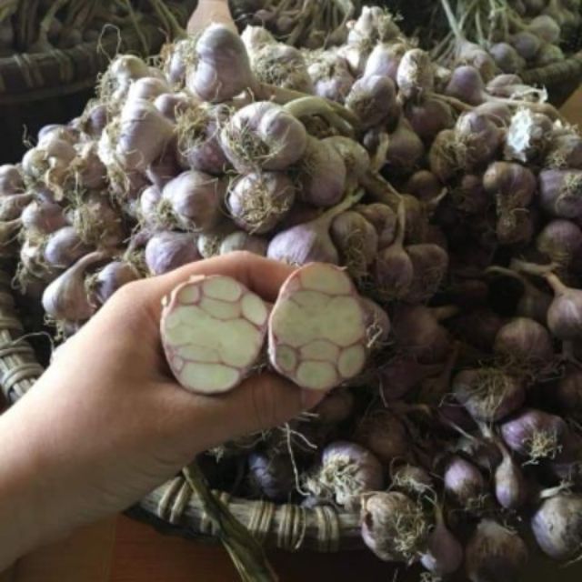 Tỏi tía Nghệ An 300g