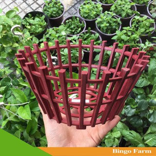 Chậu nhựa giả gỗ trồng lan (23cmx13cm)