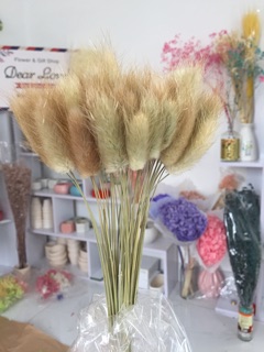 HOA KHÔ ĐUÔI THỎ 5 CÀNH