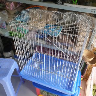 Lồng Pet inox 2 tầng BIG SIZE