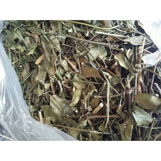 [Free Ship] 1kg lá chè vằng