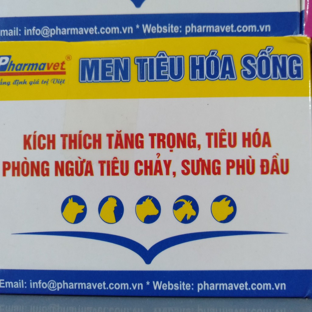 Men tiêu hóa cho chó mèo