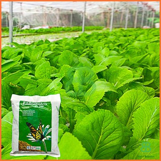 Phân Hữu Cơ Hà Lan , Phân Bón Tự Nhiên, Cải Thiện Đất Fertiplus - Túi 1KG