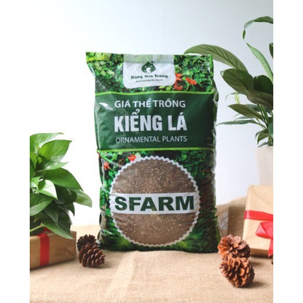 Giá thể trồng cây trồng chậu, cây trong nhà, cây nội thất, kiểng lá Sfarm