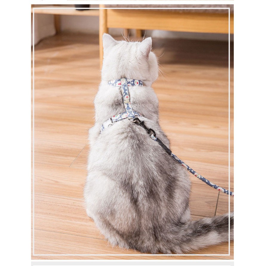 [Mã PET50 giảm 10% - tối đa 50K đơn 250K] Dây dắt kèm Yếm phong cách Nhật Bản cho chó mèo 4 màu siêu đẹp - Chuẩn y hình