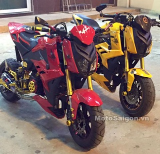 Cánh chim BMW cho MSX