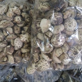 1kg nấm đông cô