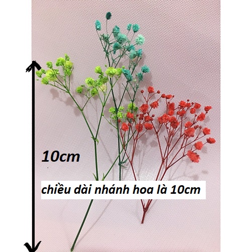 🍁Nhánh hoa khô Baby làm đồ handmade 🍁phụ kiện chụp ảnh🍁hoa khô nguyên liệu