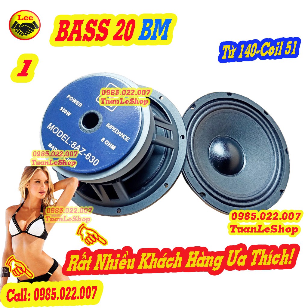 LOA BASS 2 TẤC  BM CHIN A CAO CẤP - GIÁ 1 LOA BASS 20
