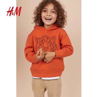 Áo Hoodie HM