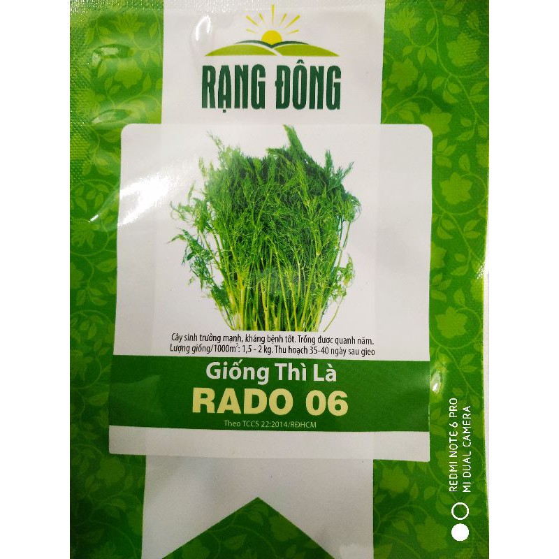 Hạt giống Thì là 5gr❤️FREESHIP XTRA❤️
