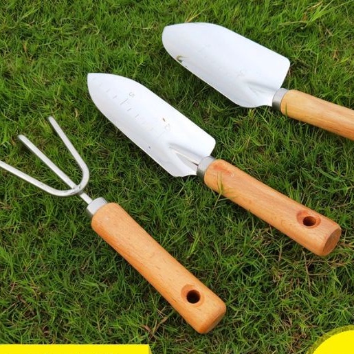 Bay nhỏ và đinh ba dùng xới đất chăm sóc cây cảnh bonsai chất liệu inox