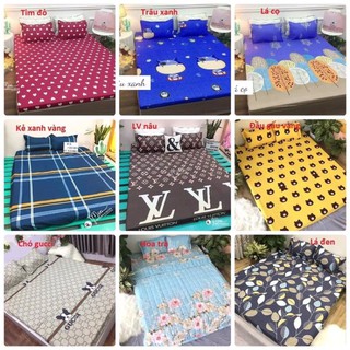 Bộ ga gối poly cotton