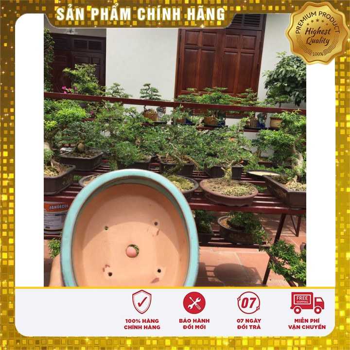 Chậu trồng Bonsai Mini Bát Tràng Minh Tâm DÀI 19 Rộng 16 Cao 4