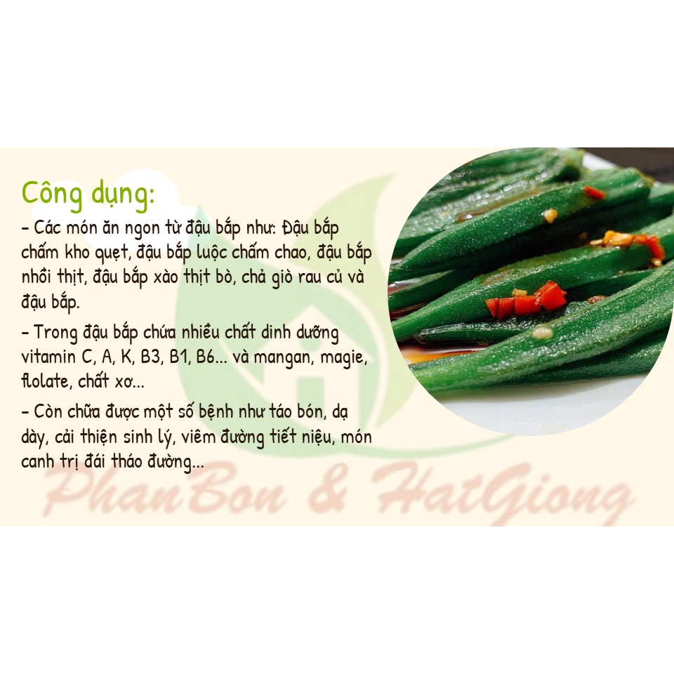 Hạt Giống Đậu Bắp 5 Cạnh , Đậu Bắp PN816 - Phú Nông Seeds - Gói 10g