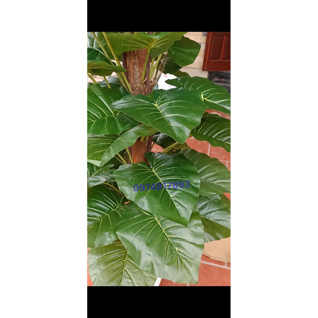 Cây giả - Cây Trầu Bà 1m6 giả cảnh trang trí văn phòng,phòng khách