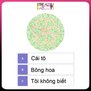 [HOẢ TỐC HCM] KÍNH ÁP TRÒNG MÙ MÀU