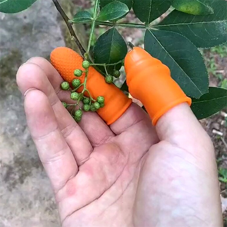 Bộ Móng Nhặt Rau Củ Quả Chống Bẩn Móng Tay, Ngón Cái Bấm Cắt Rau Củ - Nạo Gọt Tiện Lợi - Dumi Shop