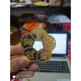 ĐỒNG HOA MAI KIM TIỀN ( SIZE TO HÀNG LOẠI 1)