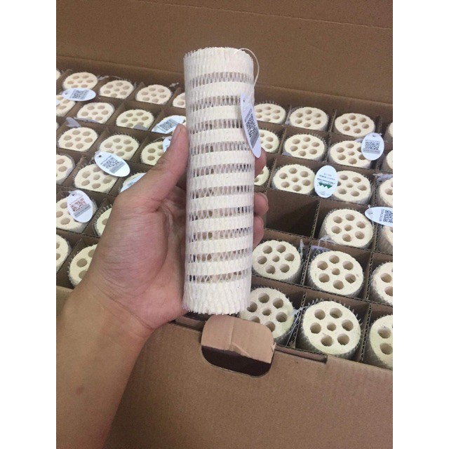 1 Thùng (60 Thanh) Sứ Củ Sen Mountain Tree ROOT I - Sứ Lọc Cân Bằng Độ PH Cho Bể Cá