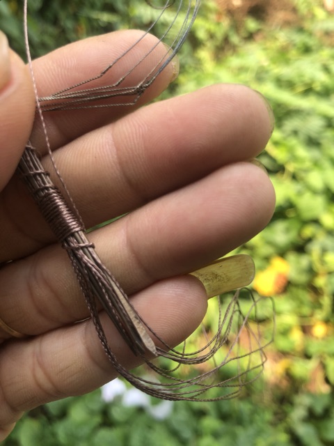 Bộ bẩy giò cu gáy Việt