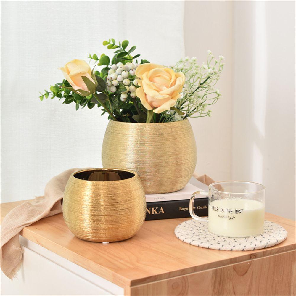Chậu Cây Sứ Trang Trí Phòng Độc Đáo