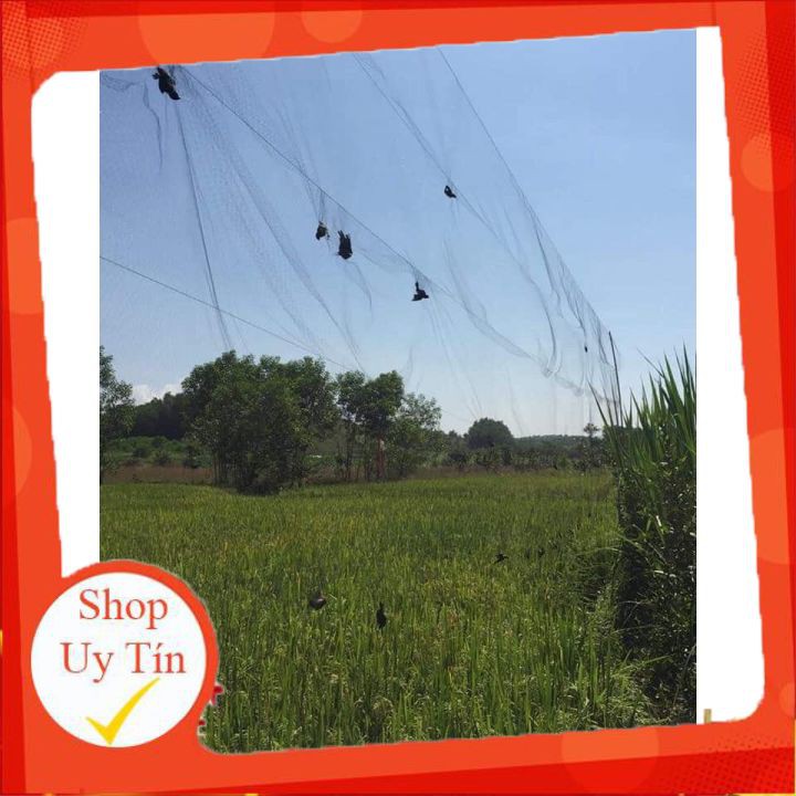 [Hàng Gia Công] Lưới Bẫy Chim Chào Mào, Họa Mi, Sẻ Cao 5m, Độ Dài Từ 10m-30m, Lưới Chim Thái Lan