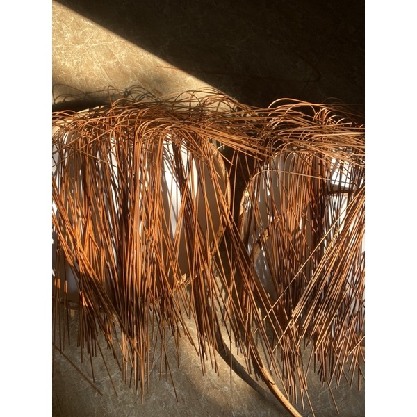 20 Nan Lồng Khuyên, Mào, Choè, Hàng Cật Già Bóng VIP.. Ảnh Thật