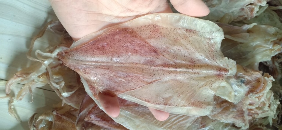 Mực Cà Mau size 500g ( 23con) | BigBuy360 - bigbuy360.vn