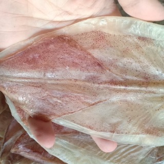 Mực Cà Mau size 500g ( 23con)