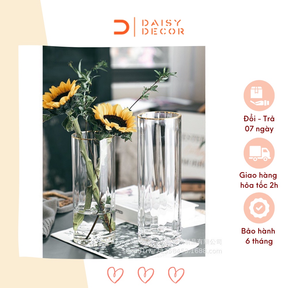 Lọ hoa thuỷ tinh bình hoa cao cấp trang trí nhà cửa kiểu dáng hình trụ viền miệng vàng - Daisy.decor - Hàng có sẵn