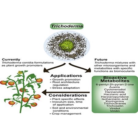 Chế phẩm sinh học Trichoderma siêu nấm Bacillus gói 1kg dùng ủ phân chuồng ủ đất trồng rau MS184 GREEN GROW