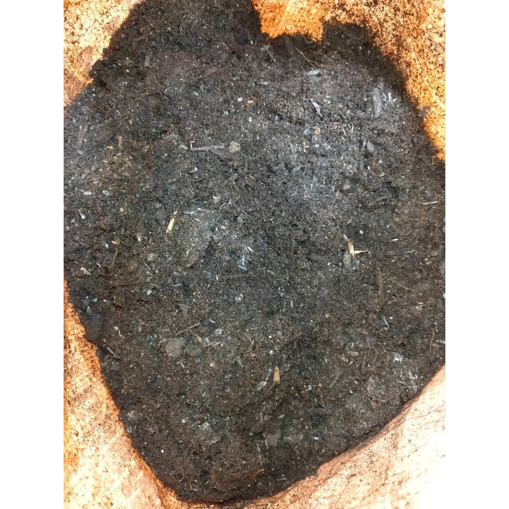 Đất sạch giàu dinh dưỡng TRIBAT trồng Dâu tây, rau, và các loại cây cảnh