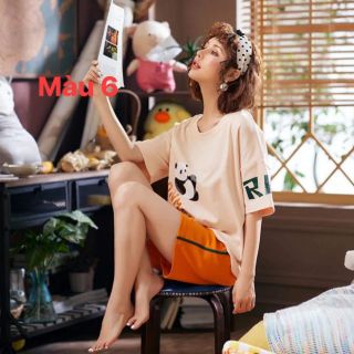 Combo 5 bộ đồ 830k