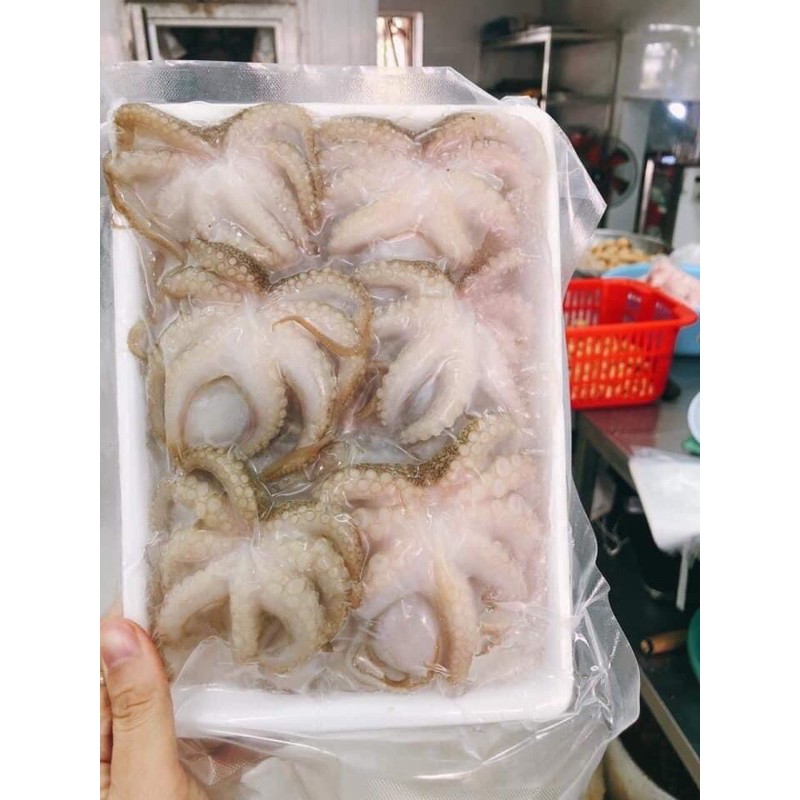 Bạch tuộc sữa