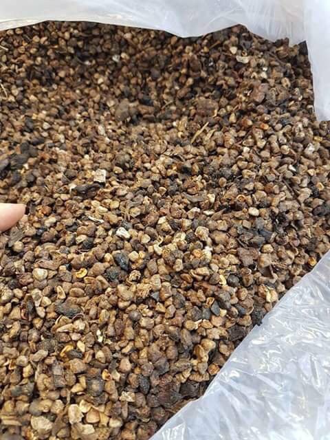 Hạt chuối rừng nguyên hạt khô loại 1 1kg | BigBuy360 - bigbuy360.vn