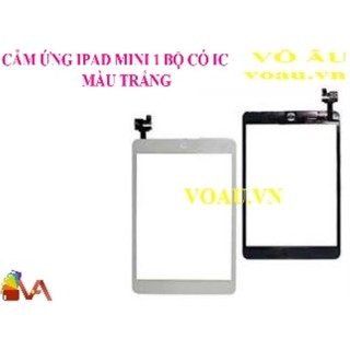 Cảm ứng ipad mini 1 bộ có ic màu trắng