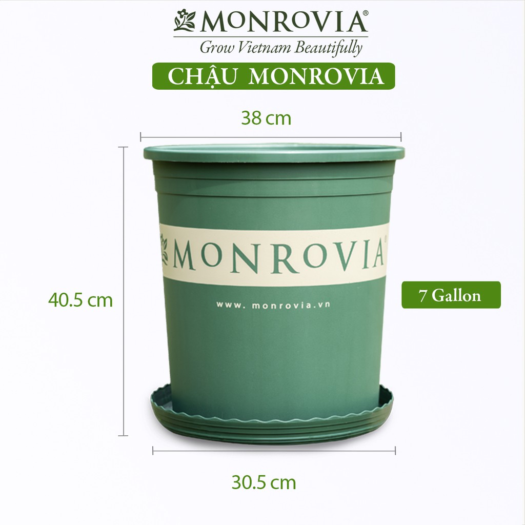 Chậu nhựa trồng cây MONROVIA 7 Gallon để bàn, treo ban công, treo tường, ngoài trời, sân vườn, tiêu chuẩn Châu Âu