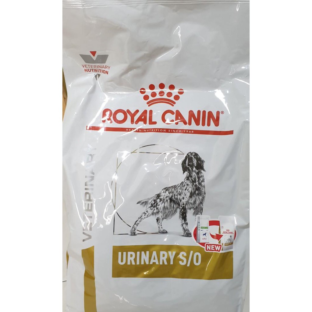 [ĐIỀU TRỊ SỎI THẬN] Thức ăn cho chó bị bệnh sỏi thận Royal Canin Urinary S/O 2kg