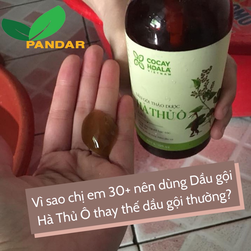 Dầu Gội Hà Thủ Ô PANDAR Giảm Rụng Tóc Bạc Tóc Kích Thích Mọc Tóc Sạch Gàu 300g 450g Cỏ cây hoa lá